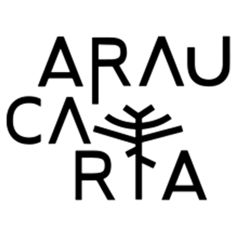 Araucaria